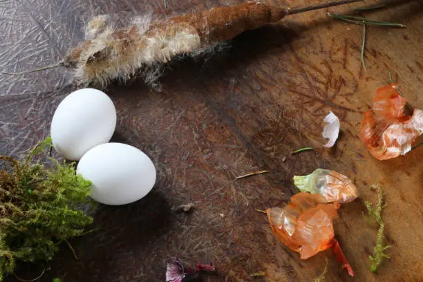 Photo of Natural materials for painting eggs.