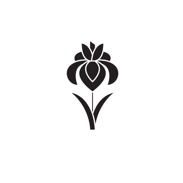 Iris Flor Vectores Libres de Derechos - iStock Iris Flor Vectores Libres de Derechos - iStock
