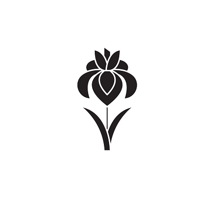 Iris black vector concept icon. Iris flat illustration, sign, symbol