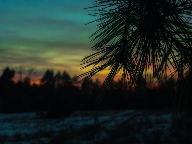 wisconsin winter sunset - winter farm vibrant color shadow imagens e fotografias de stock