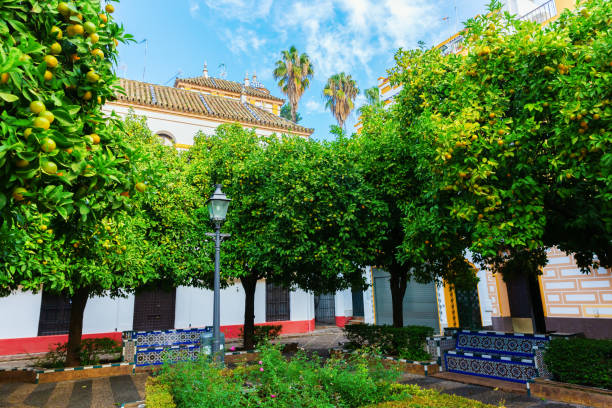 istock square in Santa Cruz district, Seville, Spain 1087248644