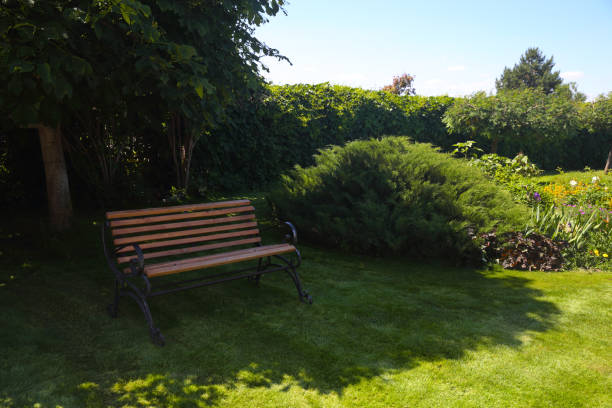 istock Garden with a lawn and a bench for rest. 1087249436