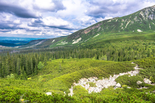istock Mountain forest landscape, spring green mountains panorama 1087251630