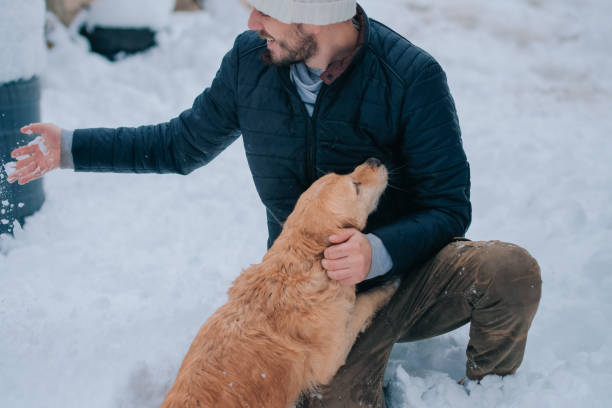 istock Man enjoying with golden retriever at winter 1087254262