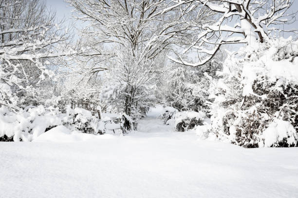 istock Snow Landscape at north Spain. 1087255786