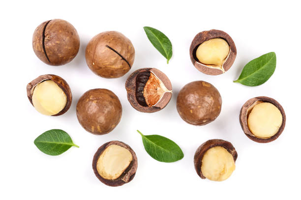 istock Shelled and unshelled macadamia nuts with leaves isolated on white background. Top view. Flat lay pattern 1087256014