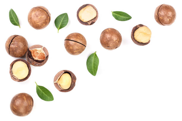 istock Shelled and unshelled macadamia nuts with leaves isolated on white background with copy space for your text. Top view. Flat lay pattern 1087256032