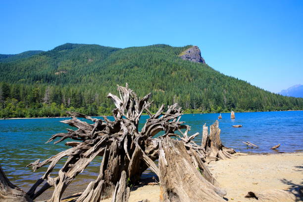 istock Rattlesnake Lake, Washington-USA 1087256696
