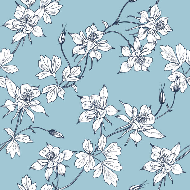 Floral seamless pattern with white aquilegia seamless pattern columbine stock illustrations