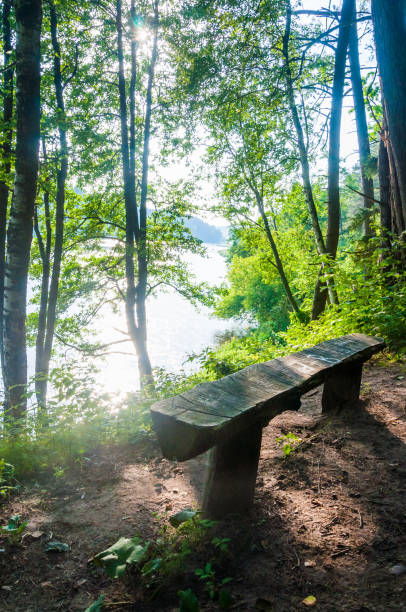 istock Sunny view on wooden forest bench, summer forest, flowing river stream 1087268358