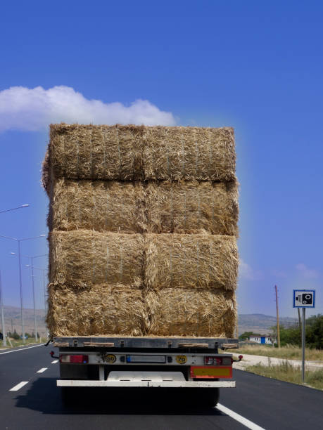 istock Bale truck carrying straw 1087268414