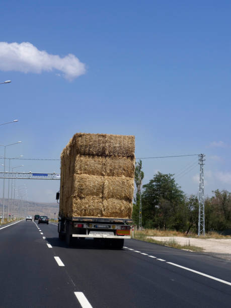 istock Bale truck carrying straw 1087269648
