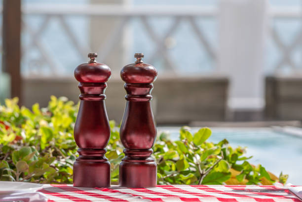 istock Two elegant brown wood condiments backlit by warm sunshine on a checkered red and white table cloth with greenery behind in an alfresco restauraut 1087272376