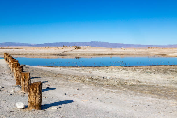 istock The Salton Sea, California 1087281138