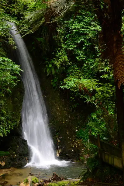 Tourism around the world; natural wonders; beautiful waterfall among bright green vegetation