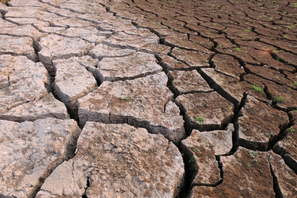 istock Dried and Cracked ground,arid soil close up 1087284814