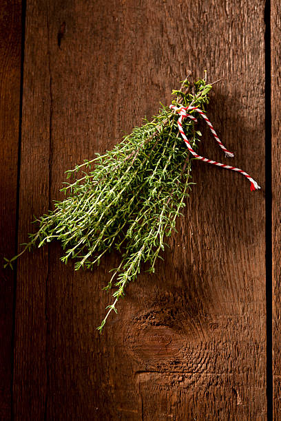 Small bouquet of thyme stock photo