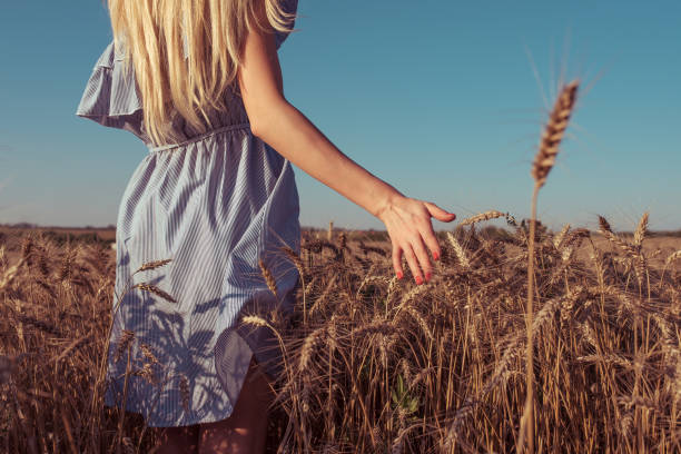 Girl blonde in summer dress. Summer bright sunny day wheat field. The hand goes into the distance touching the wheat germ. Concept of pure and untouched nature stock photo