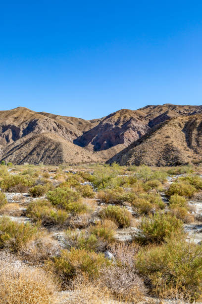istock Californian Desert Landscape 1087296008