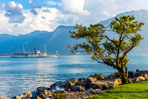 Passenger Craft with single tree on shore in Montreux city, Switzerland