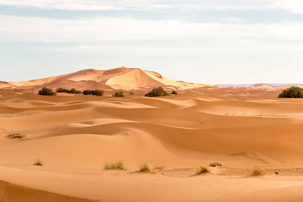 istock Dunes Erg Chebbi desert, Sahara, Merzouga 1087296392