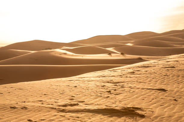 istock Sand dunes in the Sahara Desert, Morocco 1087296470