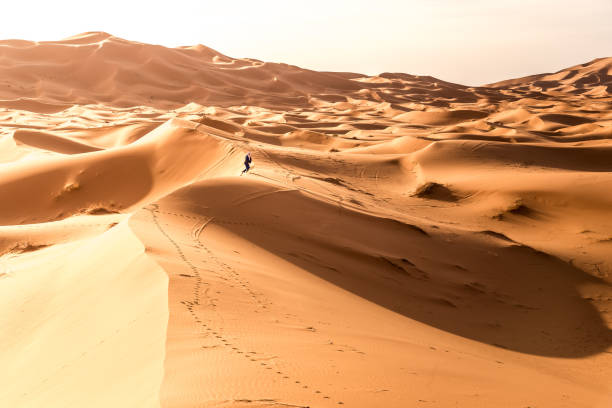 istock Lonely Berber walking in Erg Chebbi desert 1087296474