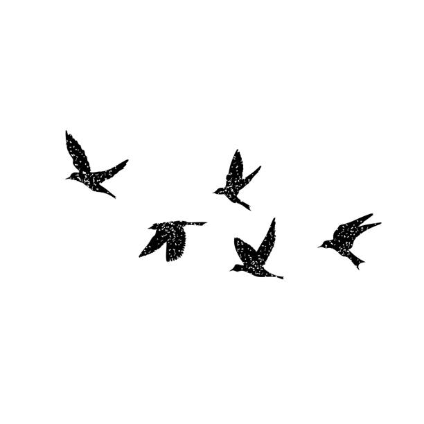 Isolated textured stipple silhouette of birds flock in the air Inspirational body flash tattoo ink. Vector. Vector. birds flying in v formation stock illustrations