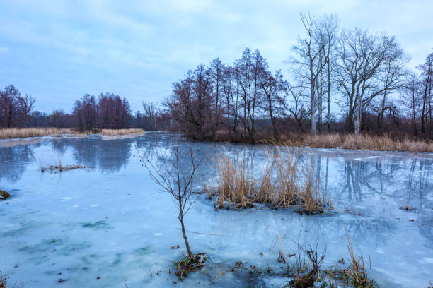 istock winter lake in forest 1087307760