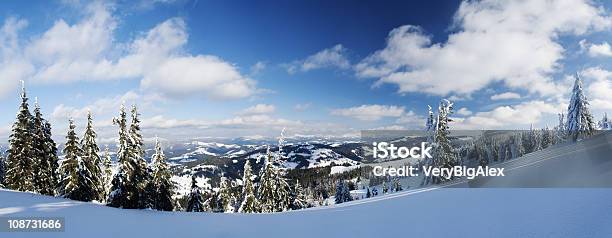 Carpazi Montagne Con Neve Cowered - Fotografie stock e altre immagini di Abete - Abete, Albero, Albero sempreverde