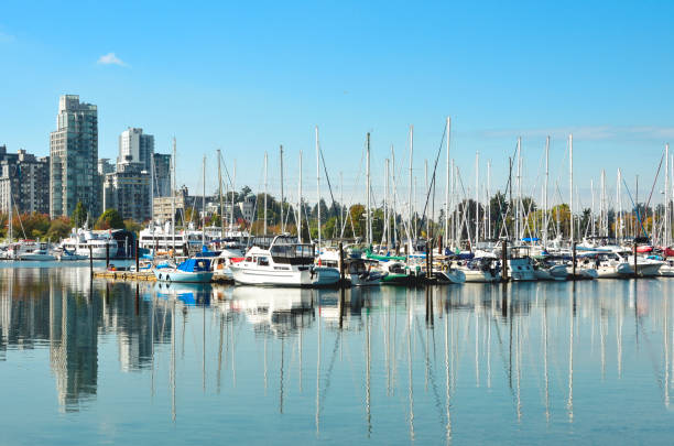 istock Vancouver Harbor Yacht Port - Canada 1087326500