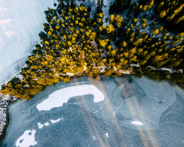 luftaufnahmen von bright wald in sonnigen wintertag mit einem zugefrorenen see in einem vordergrund - coutryside stock-fotos und bilder