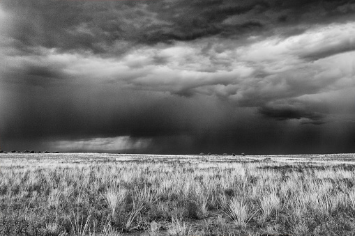 Storm clouds over a dry grass field.