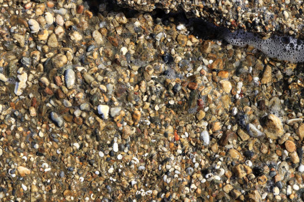 istock Wet sea weathered concrete surface texture. Rough marine background. 1087338480