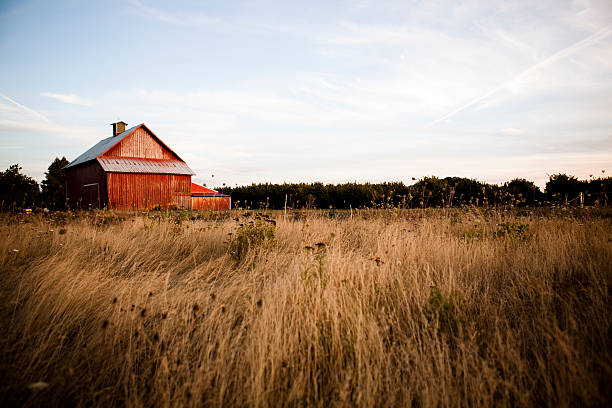 sommer nacht barn - building place stock-fotos und bilder