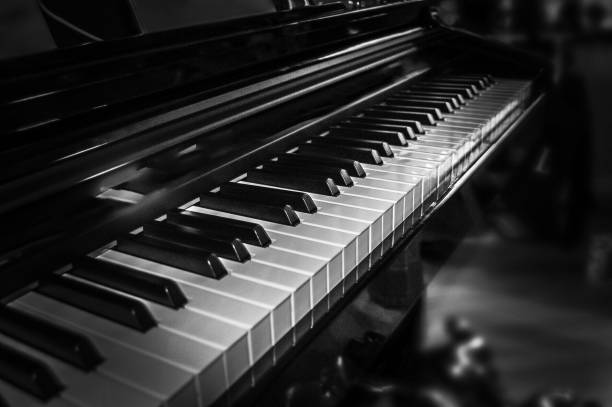 Electric Piano Keyboard in Black and White