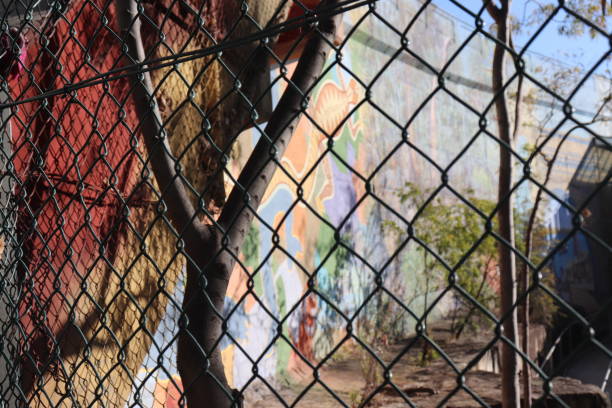 istock City views of Sydney 1087372310