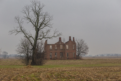 Abandoned mansion in farm field with barren tree and fog on overcast day
