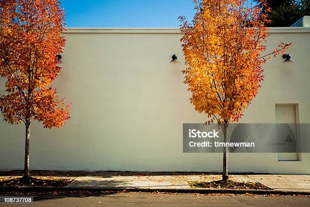Colorful Trees Stock Photo - Download Image Now - Autumn, Blue, Bright