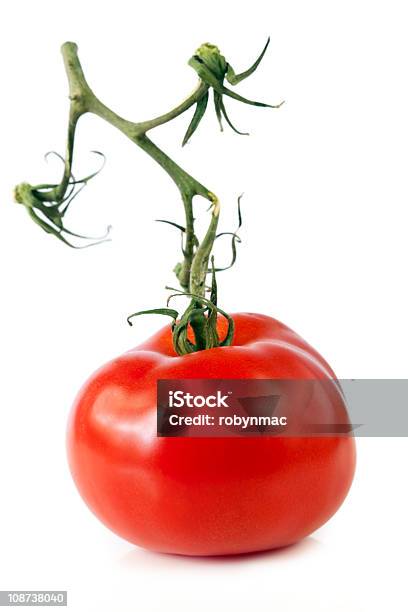 Tomate Treliçada - Fotografias de stock e mais imagens de Armação de Construção - Armação de Construção, Comida, Figura para recortar