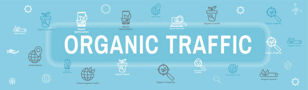 نمودار رشد ترافیک ارگانیک با بهینهسازی سرعت سایت و سئو تکنیکال
