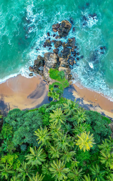 Sri Lanka Coast Line