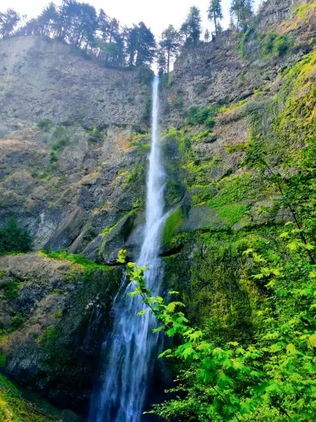 piece of Oregon's Beauty