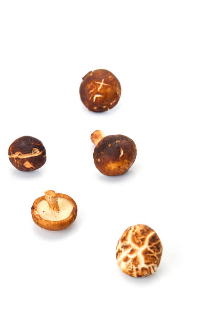 istock fresh shiitake mushroom isolated on white background 1087401024