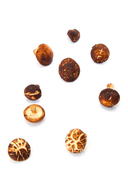 istock fresh shiitake mushroom isolated on white background 1087401044