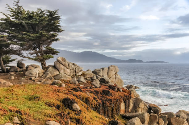 17 Mile Drive Coastal Views Monterey County, California, USA. city of monterey california stock pictures, royalty-free photos & images