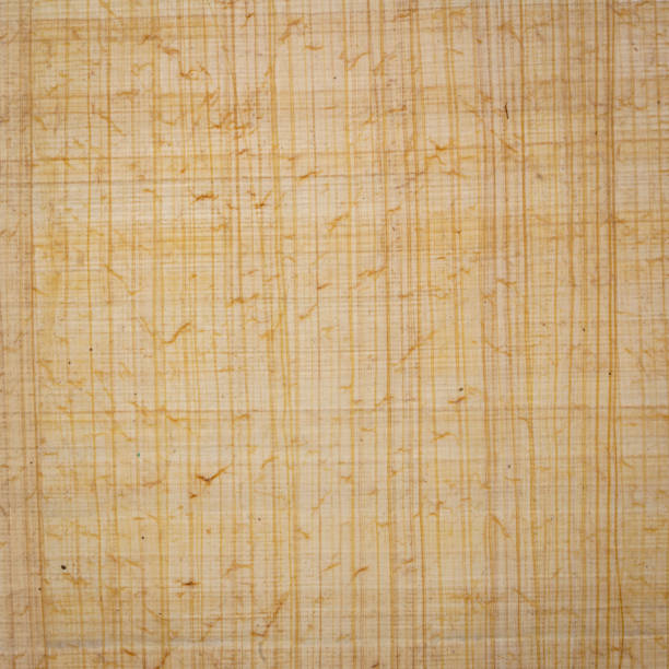 istock Egyptian papyrus paper 1087413368