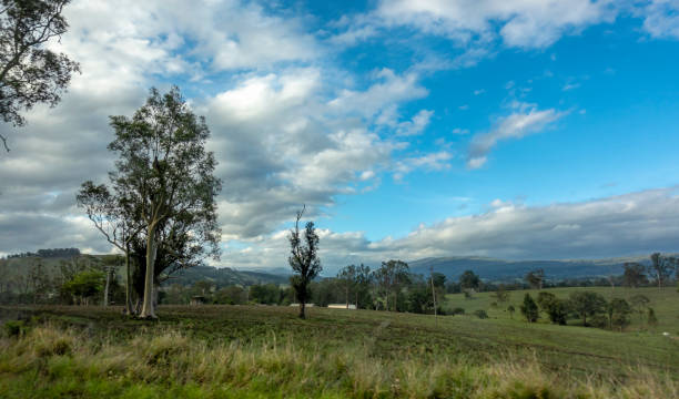 istock Australian countryside with gentle rolling hills 1087416274