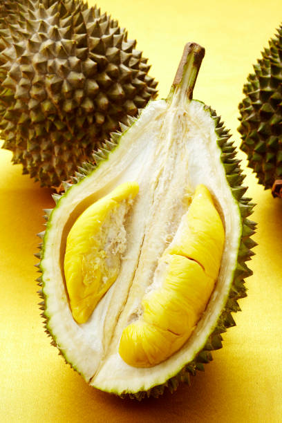 istock Closeup fresh fruit durian flesh, on yellow background 1087420094