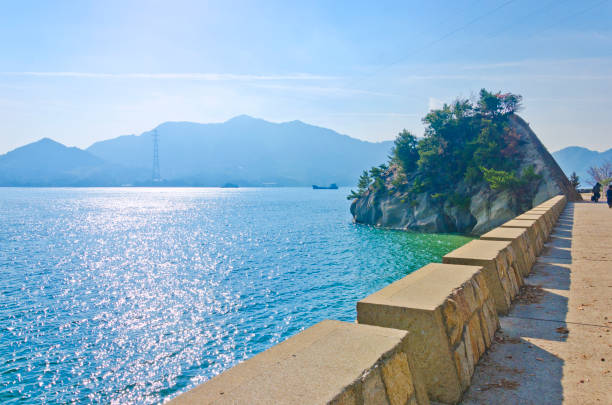 Okunoshima or Rabbit island in Japan